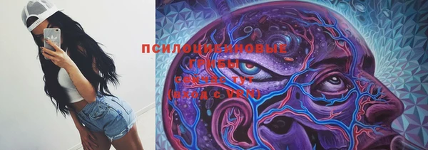 молекула духа Армянск